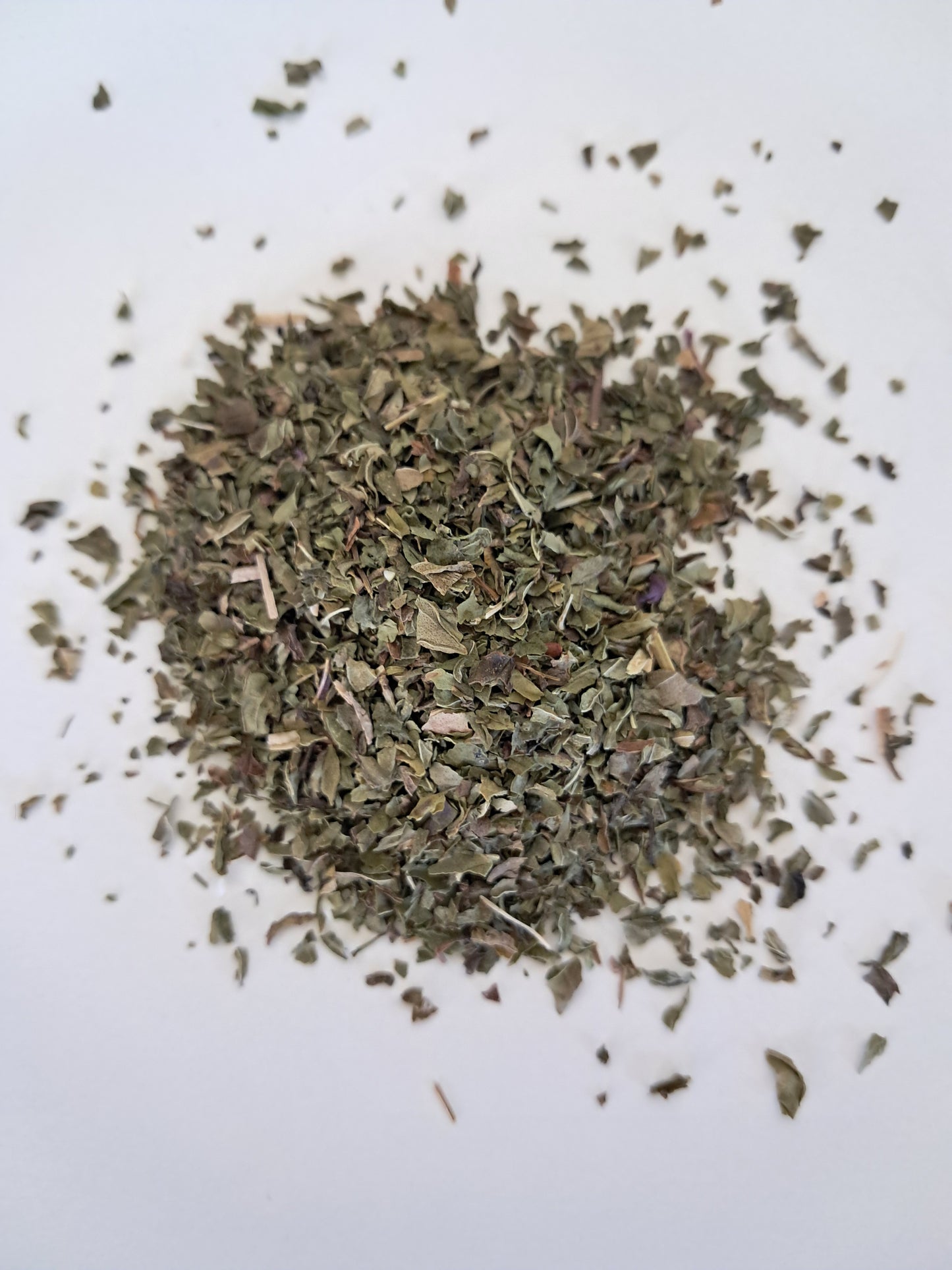 Spearmint (Mentha spicata) Organic