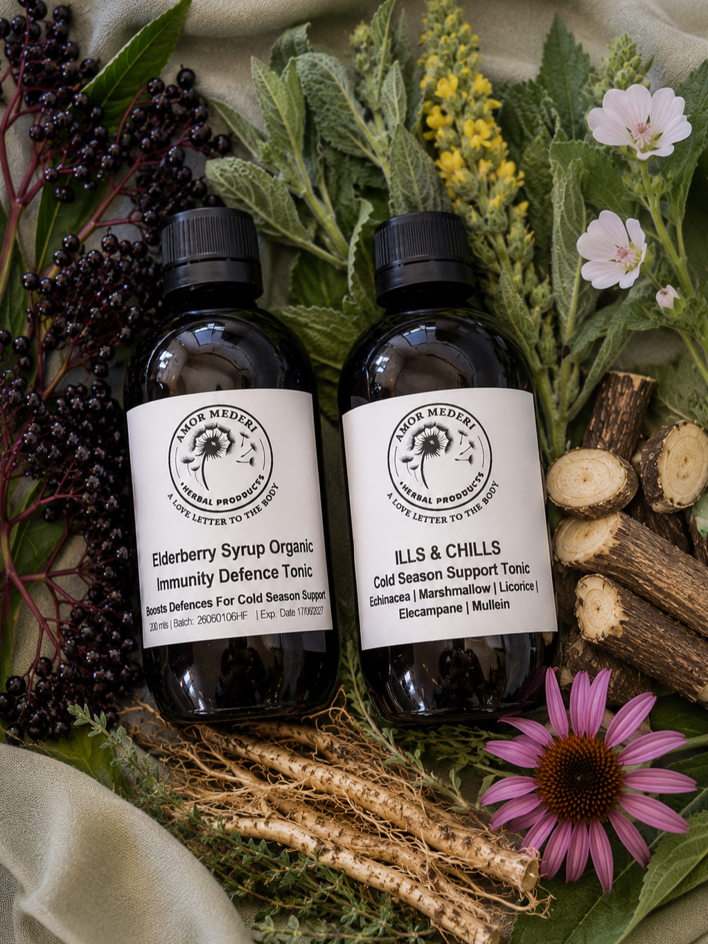 Elderyberry Syrup & Ills and Chills Cold Season Herbal Support Duo