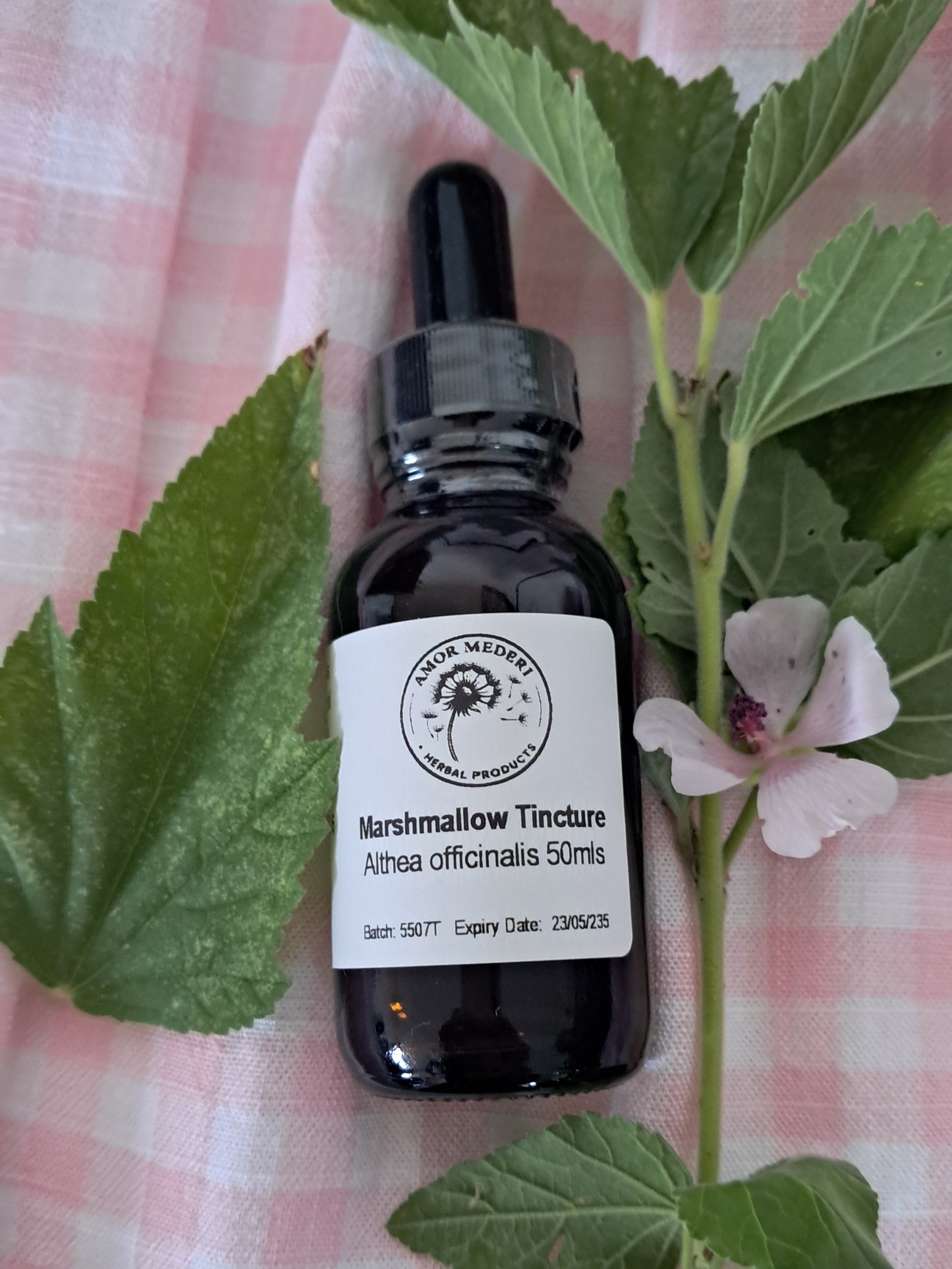 Marshmallow Root Tincture