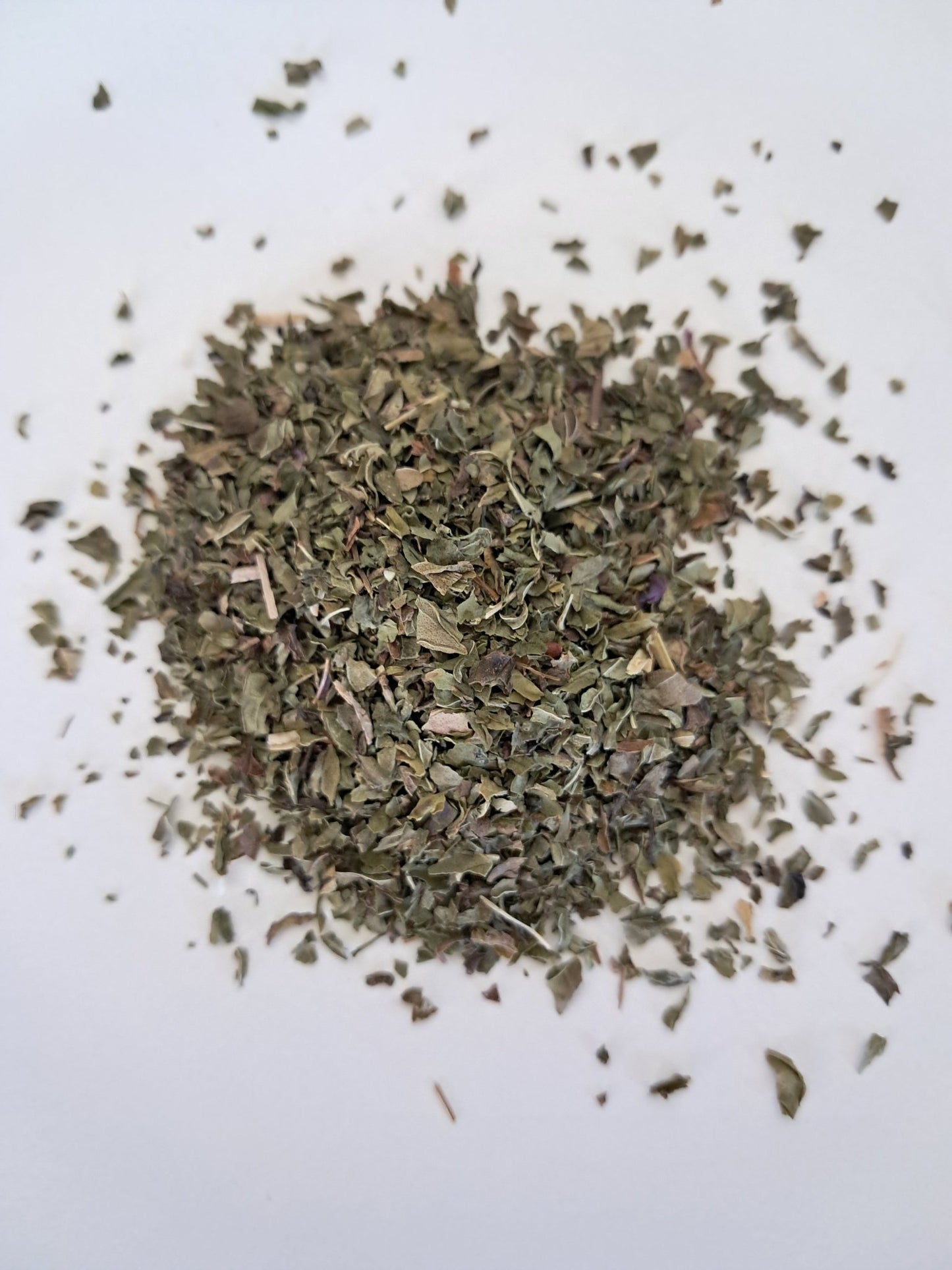 Spearmint (Mentha spicata) Organic - Amor Mederi