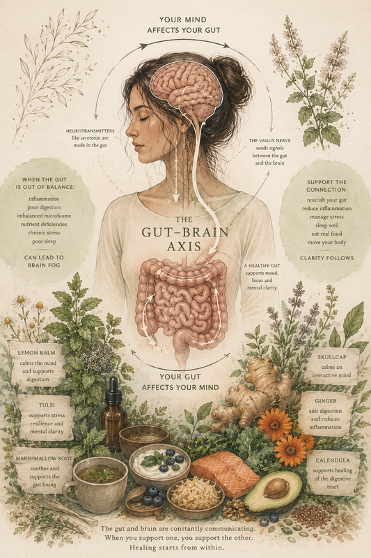 Brain Fog and the Gut-Brain Axis: How Gut Health Affects Mental Clarity