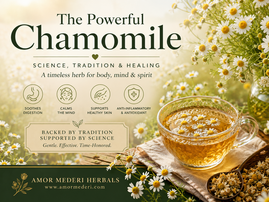 Chamomile: So Much More Than A Sleep Herb.