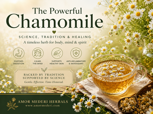 Chamomile: So Much More Than A Sleep Herb.