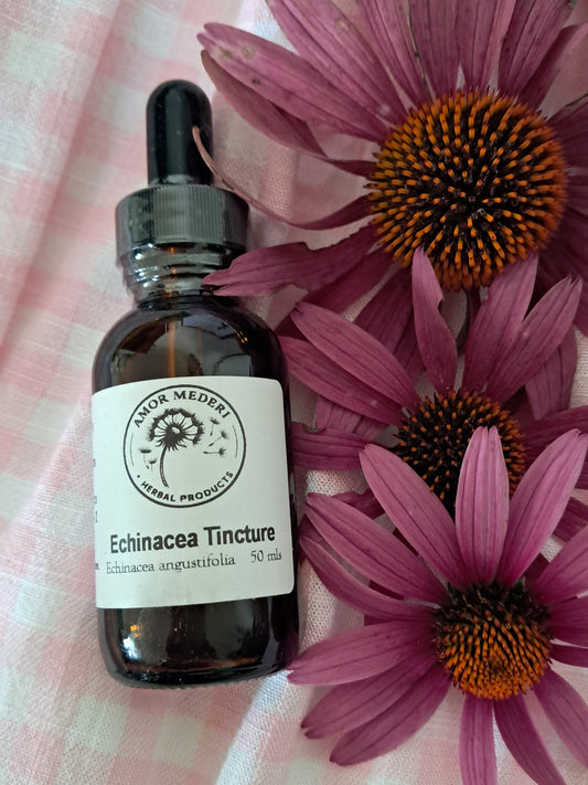 Not all Echinacea Products are Created Equal: Why Quality Matters.