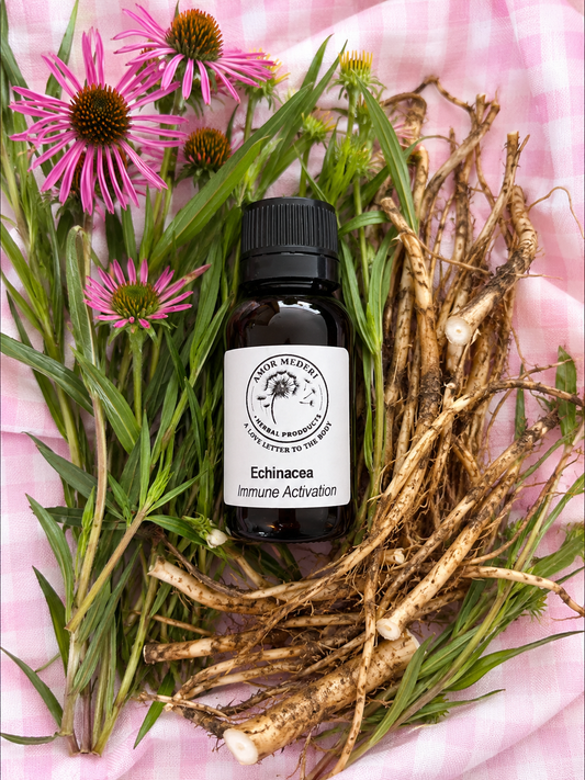 Echinacea Angustifolia Root Herbal Tincture
