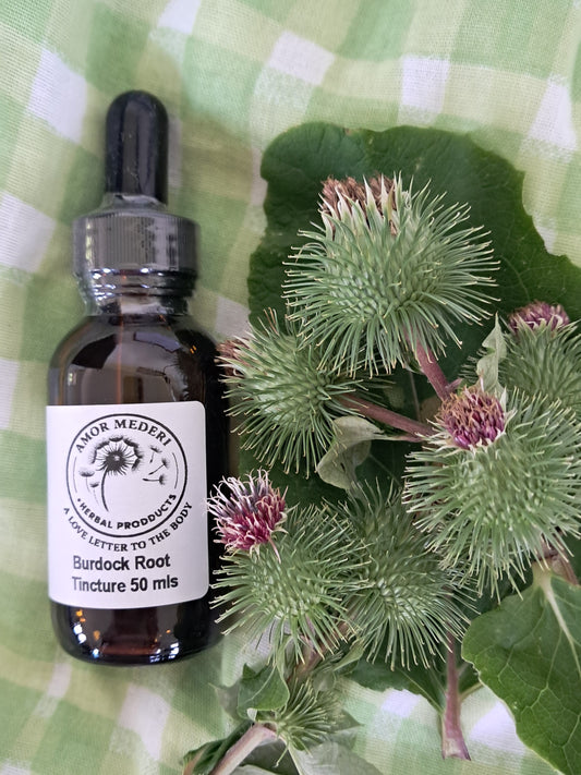 Burdock Root Tincture