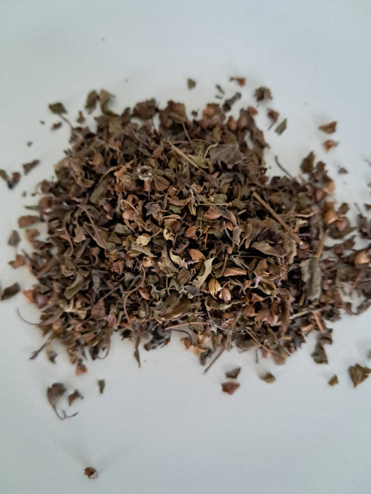 Tulsi (Ocimum sanctum)
