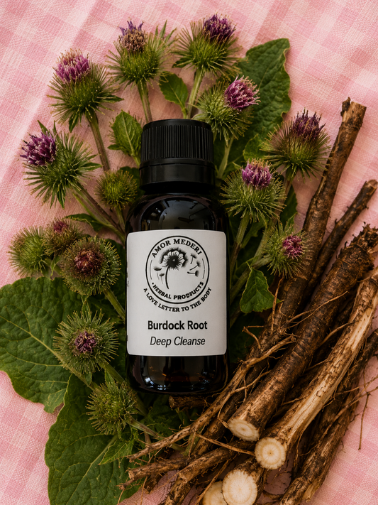 Burdock Root Herbal Tincture Fresh Plant Organic