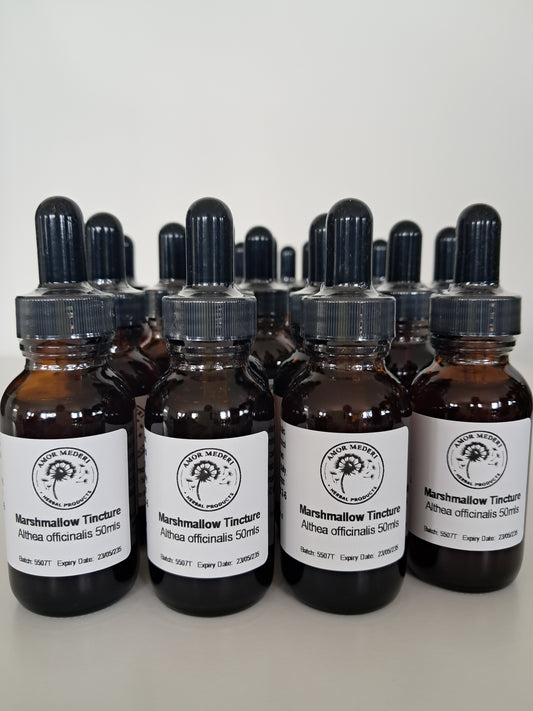 Marshmallow Root Tincture