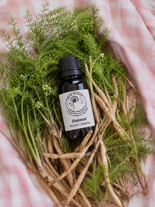 Shatavari Herbal Tincture (Asparagus racemosus)