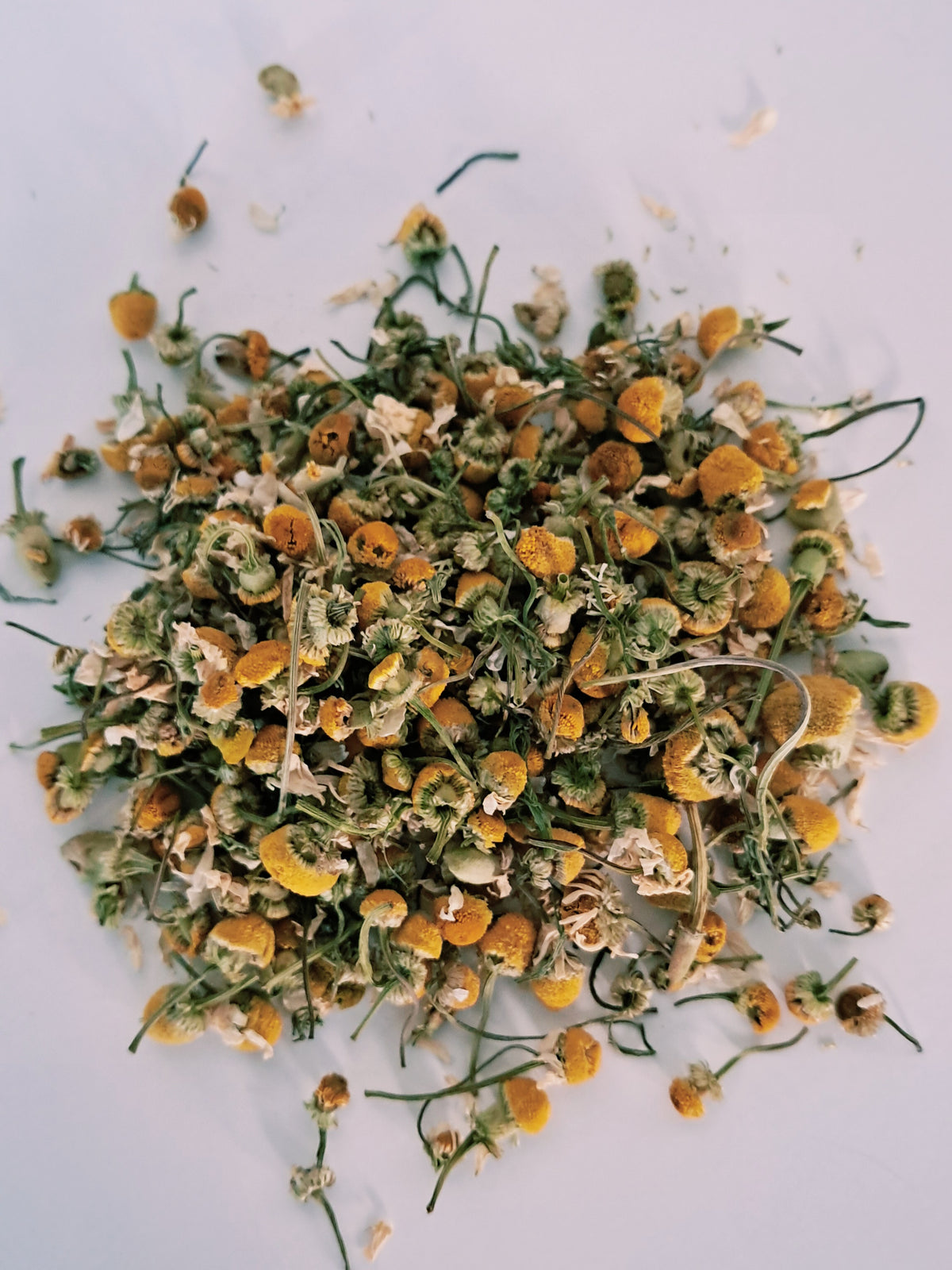 Chamomile Flowers (German) Organic Herb Premium Grade