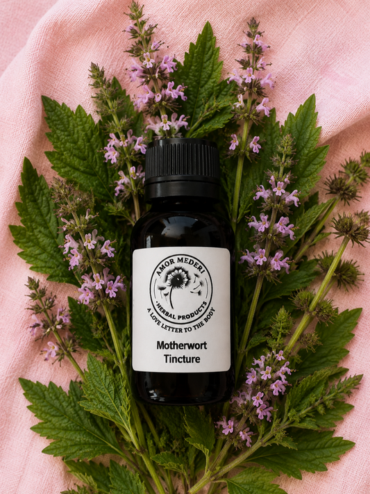 Motherwort Tincture Organic Fresh Plant