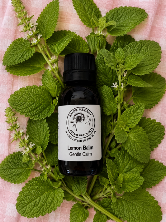 Lemon Balm Herbal Tincture Fresh Plant Organic