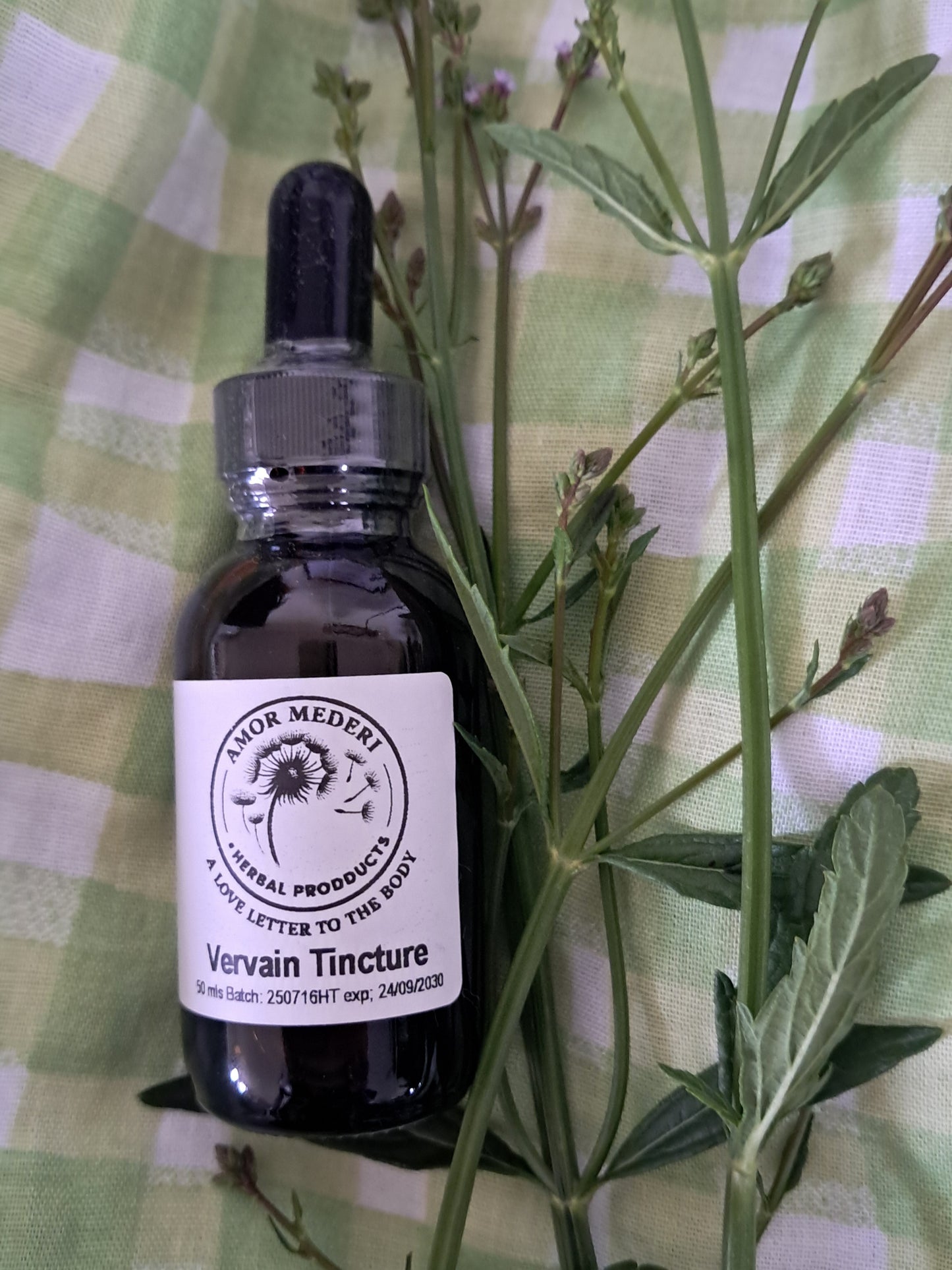 Vervain Tincture (Verbena officinalis)