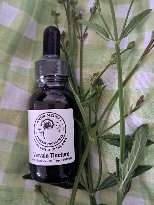 Vervain Tincture (Verbena officinalis)