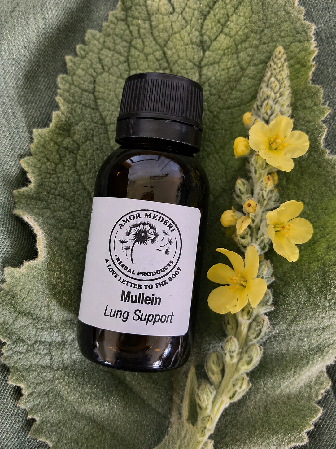 Mullein Herbal Tincture (Verbascum thapsus)