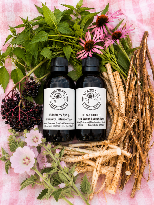 Elderyberry Syrup & Ills and Chills Cold Season Herbal Support Duo
