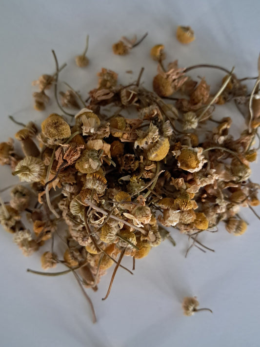 Chamomile Flowers (German) Organic