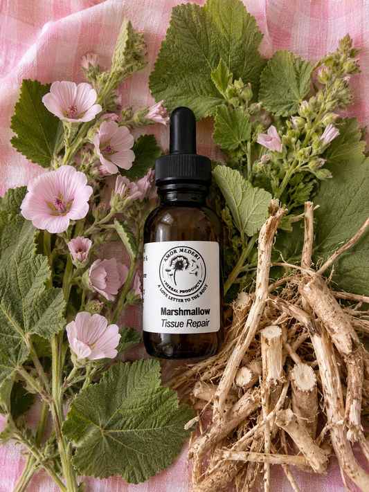 Marshmallow Root Herbal Tincture