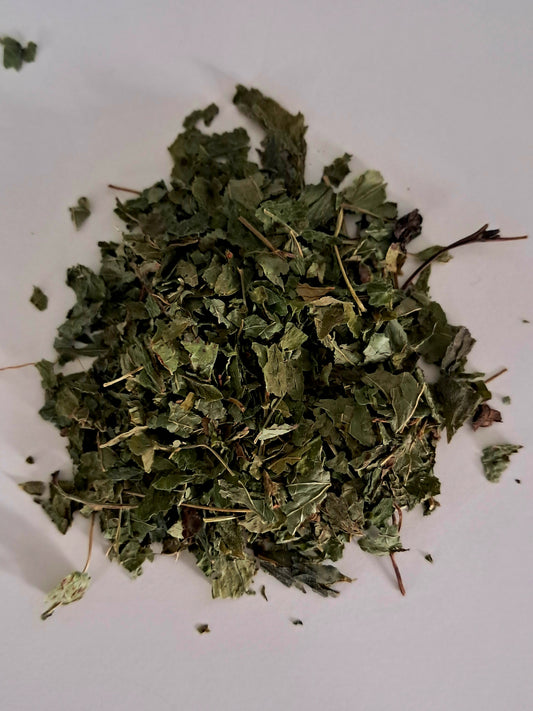 Lemon Balm Organic Herb