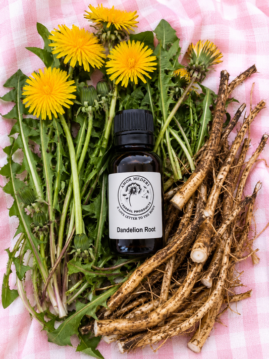 Dandelion Root Herbal Tincture
