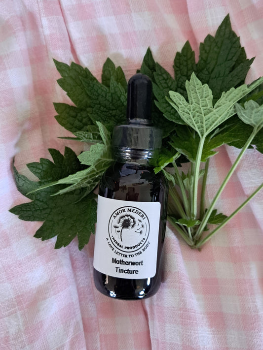 Motherwort Tincture Organic Fresh Plant