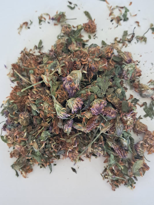 Red Clover Flowering Tops Certified Organic Herb.