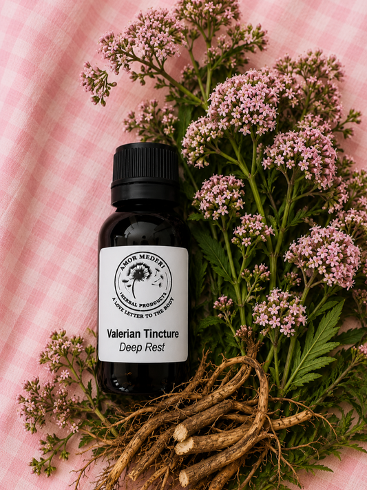 Valerian Herbal Tincture Fresh Plant Organic