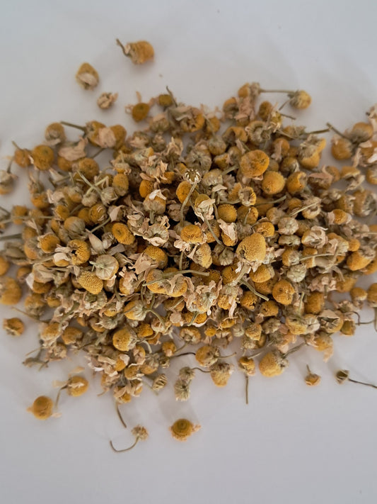 Chamomile Flowers (German) Organic Herb
