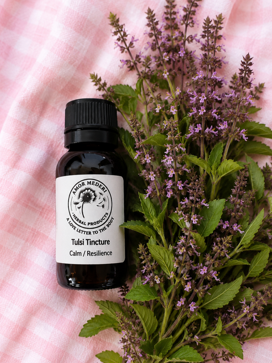 Tulsi Herbal Tincture Fresh Plant Organic