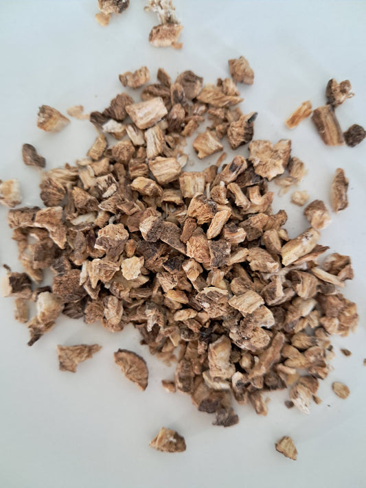 Burdock Root (Arctium Lappa) Organic