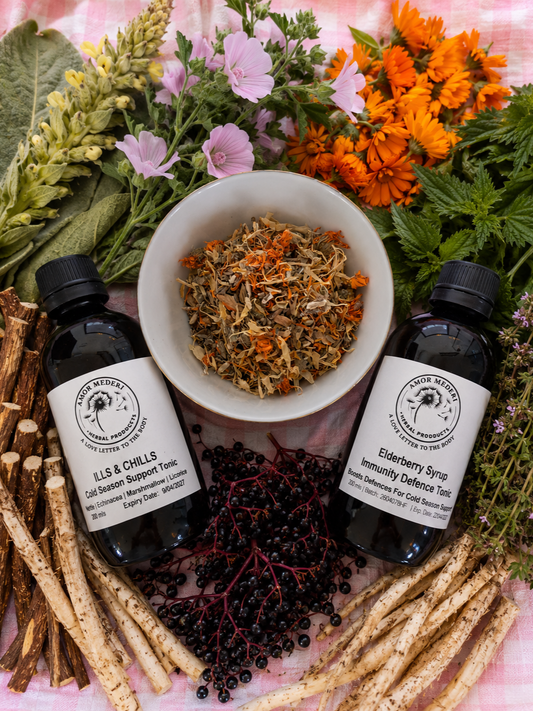 Cold Season Herbal Support Trio